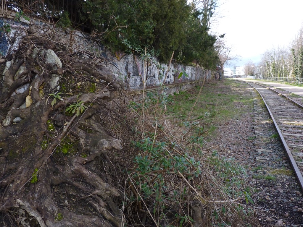 Petite ceinture du 15ème