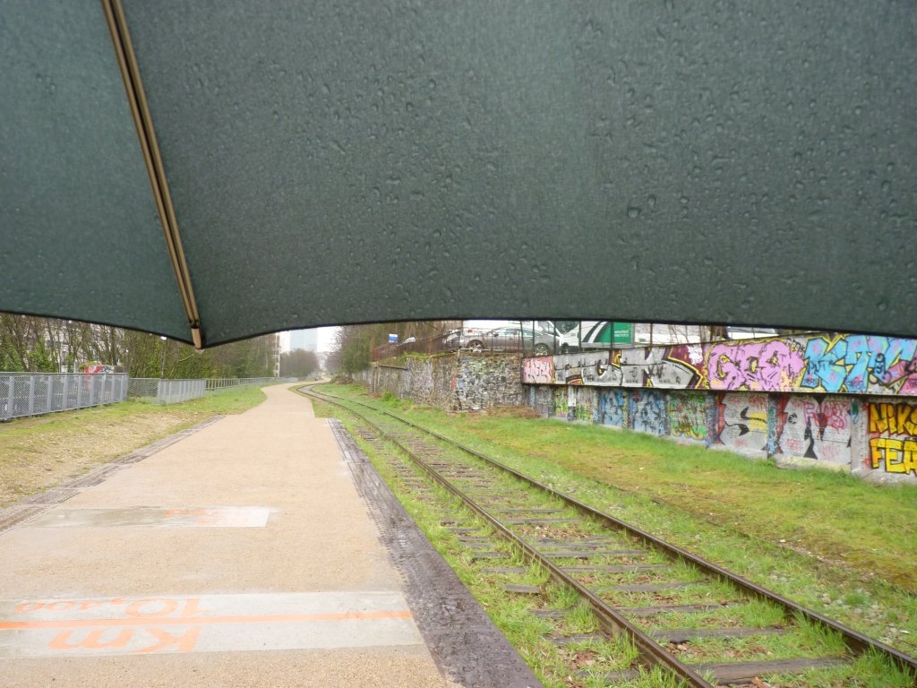 Il pleut sur la petite ceinture (près de Balard)