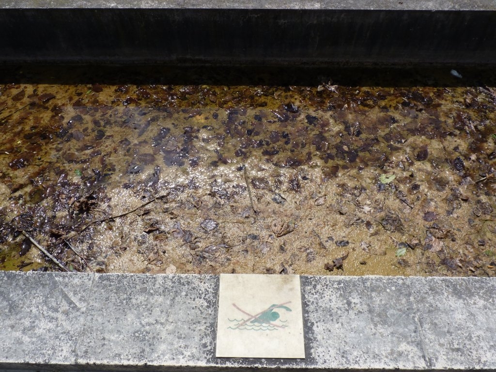 Bassin du parc André Citroën