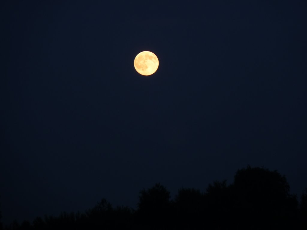 Pleine lune dans notre verger