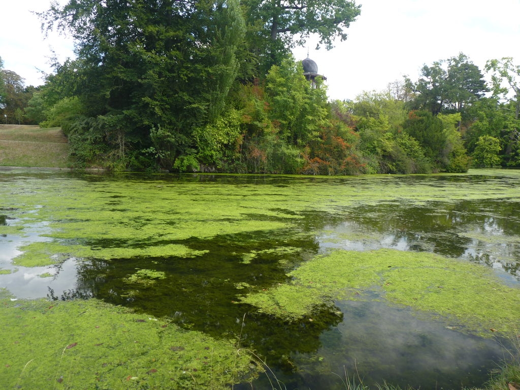 Lac inférieur du bois de Boulogne