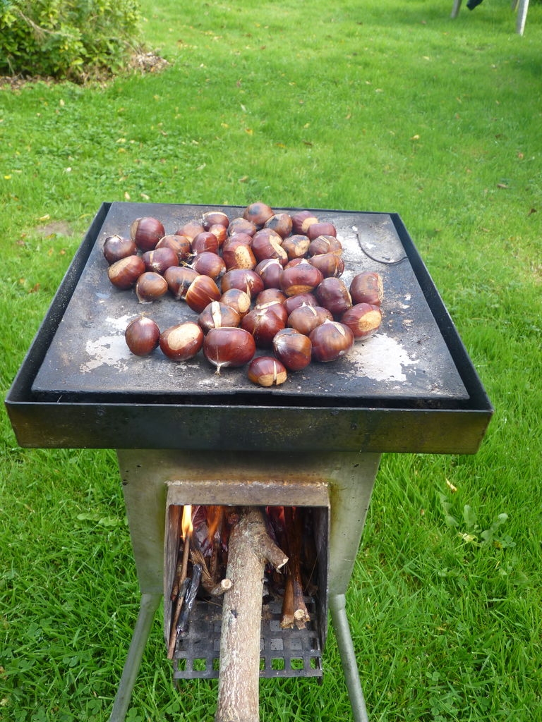 Châtaignes sur un cuiseur à bois