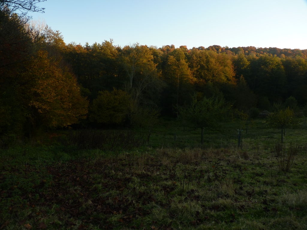 Soir d'automne dans notre verger