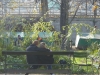 Banc public du jardin des Tuileries