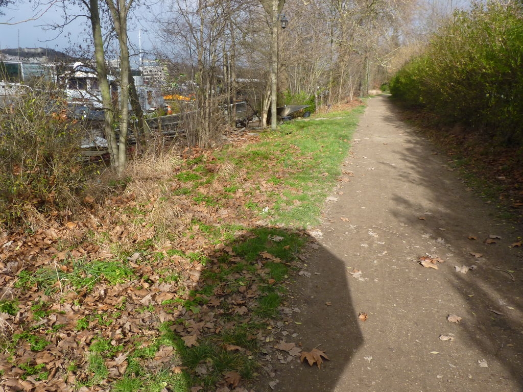 Les berges de la Seine