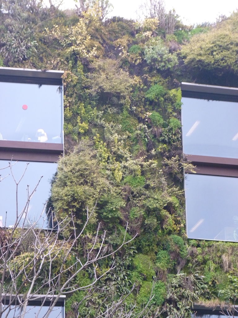 Mur végétalisé du musée du quai Branly