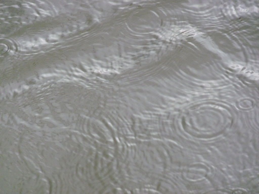 Il pleut sur la Seine