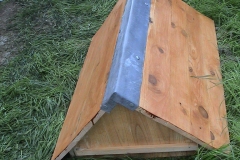 Ruche Top Bar vitrée