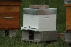 3ème ruche