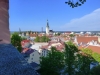 Tallin